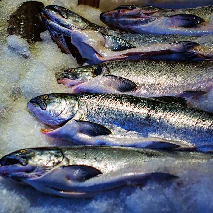 SEDIS Пищевая промышленность, Рыбная промышленность
