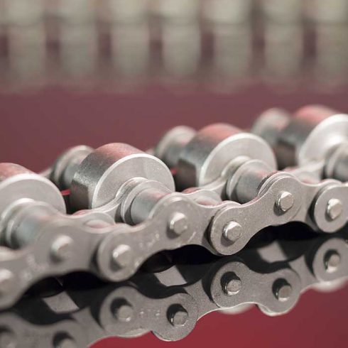 Sedis, Adapted chain, Accumulation roller chains