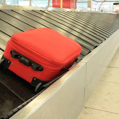 SEDIS Luggage transport