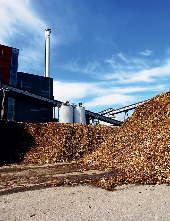 SEDIS Energie, Biomasseanlagen