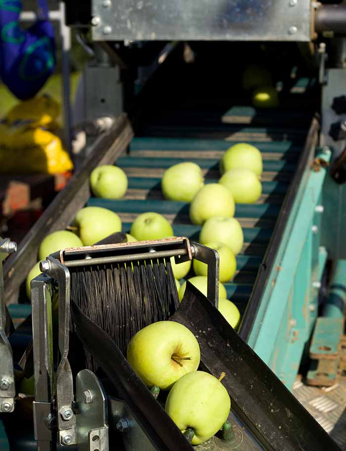 SEDIS industrie agroalimentaire fruits et légumes