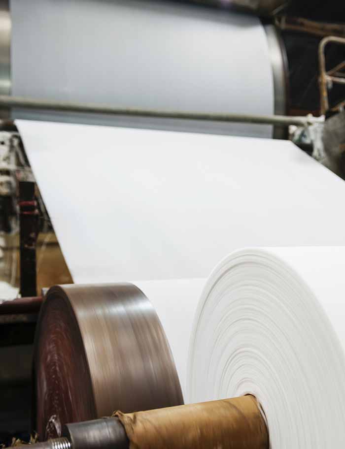 SEDIS Тяжелая промышленность, Бумажные фабрики