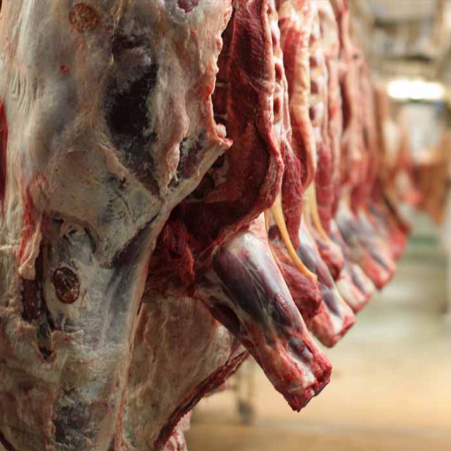 Sedis food industry, Meat product transformation