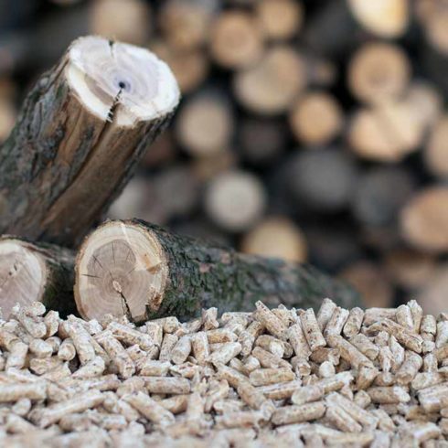 Sedis industrie biomasse